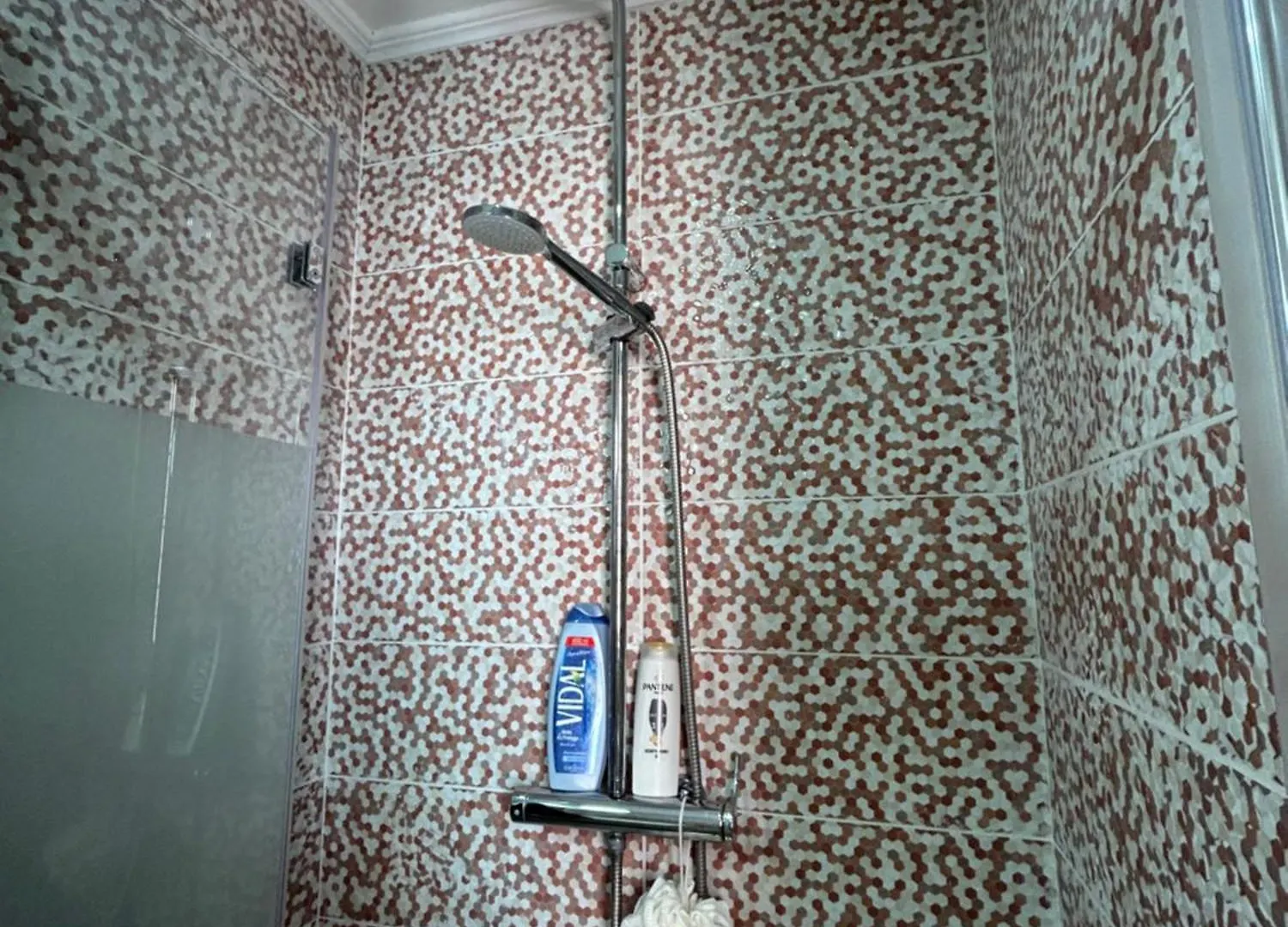 Gasthuis Guesthouse Dahlia Rossa Rome